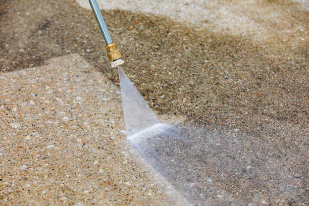 Best Pre-Holiday Cleaning  in Frankford, DE